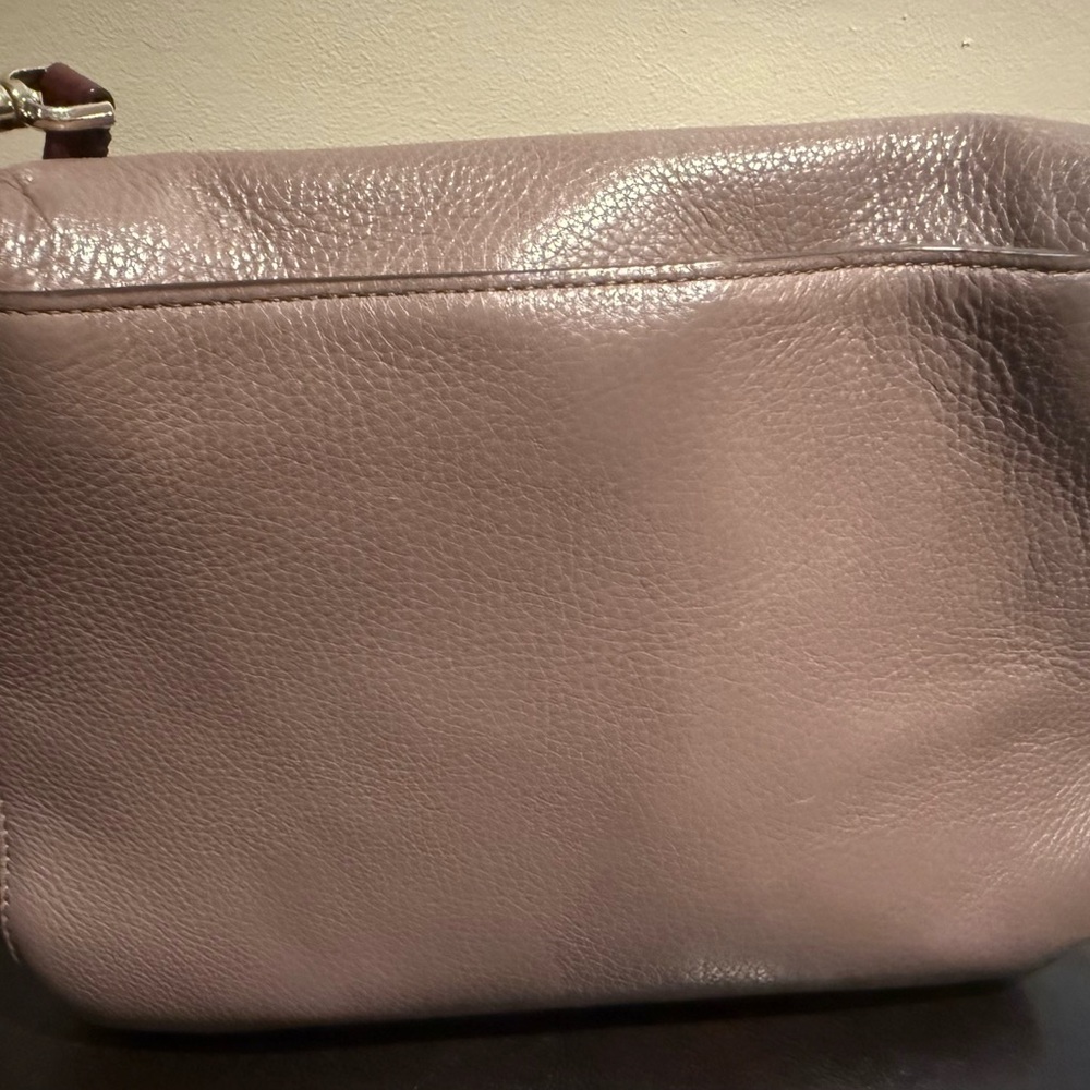 Kate Spade Mauve Crossbody Bag - Picture 5 of 5